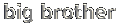Big Brother Logo